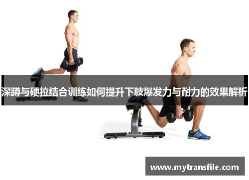 深蹲与硬拉结合训练如何提升下肢爆发力与耐力的效果解析