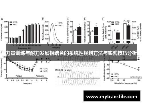 力量训练与耐力发展相结合的系统性规划方法与实践技巧分析