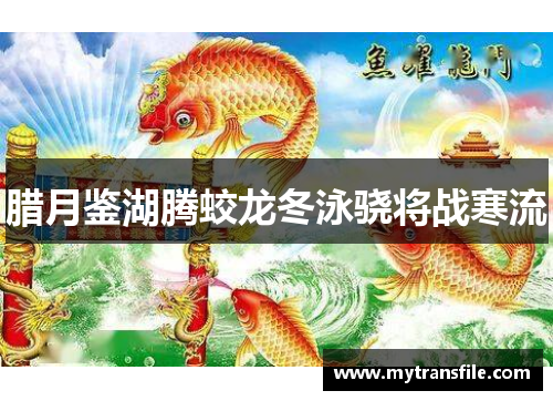 腊月鉴湖腾蛟龙冬泳骁将战寒流